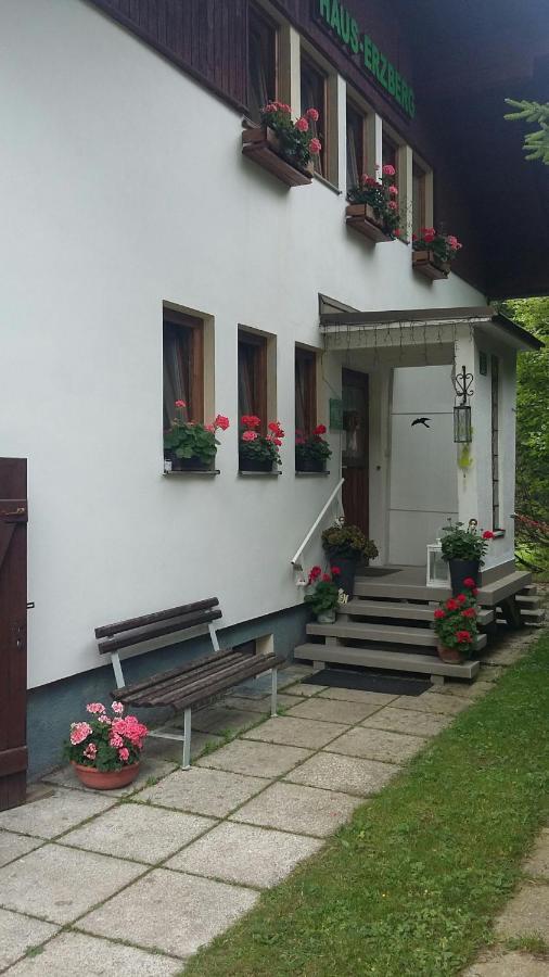 Haus-Erzberg Bed & Breakfast Vordernberg Luaran gambar