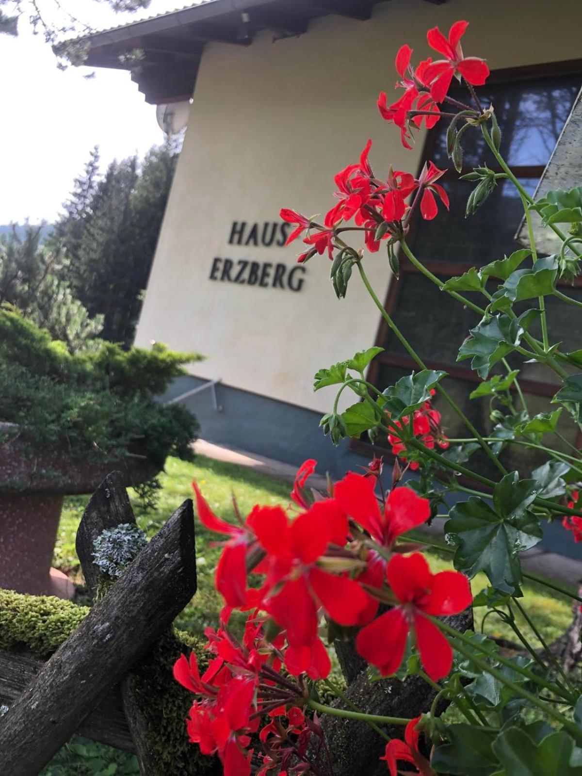 Haus-Erzberg Bed & Breakfast Vordernberg Luaran gambar